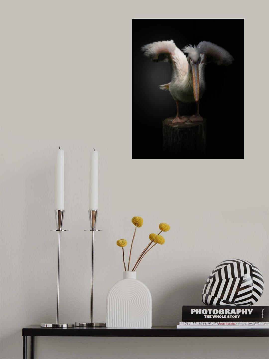 ready to fly Poster och Canvastavla