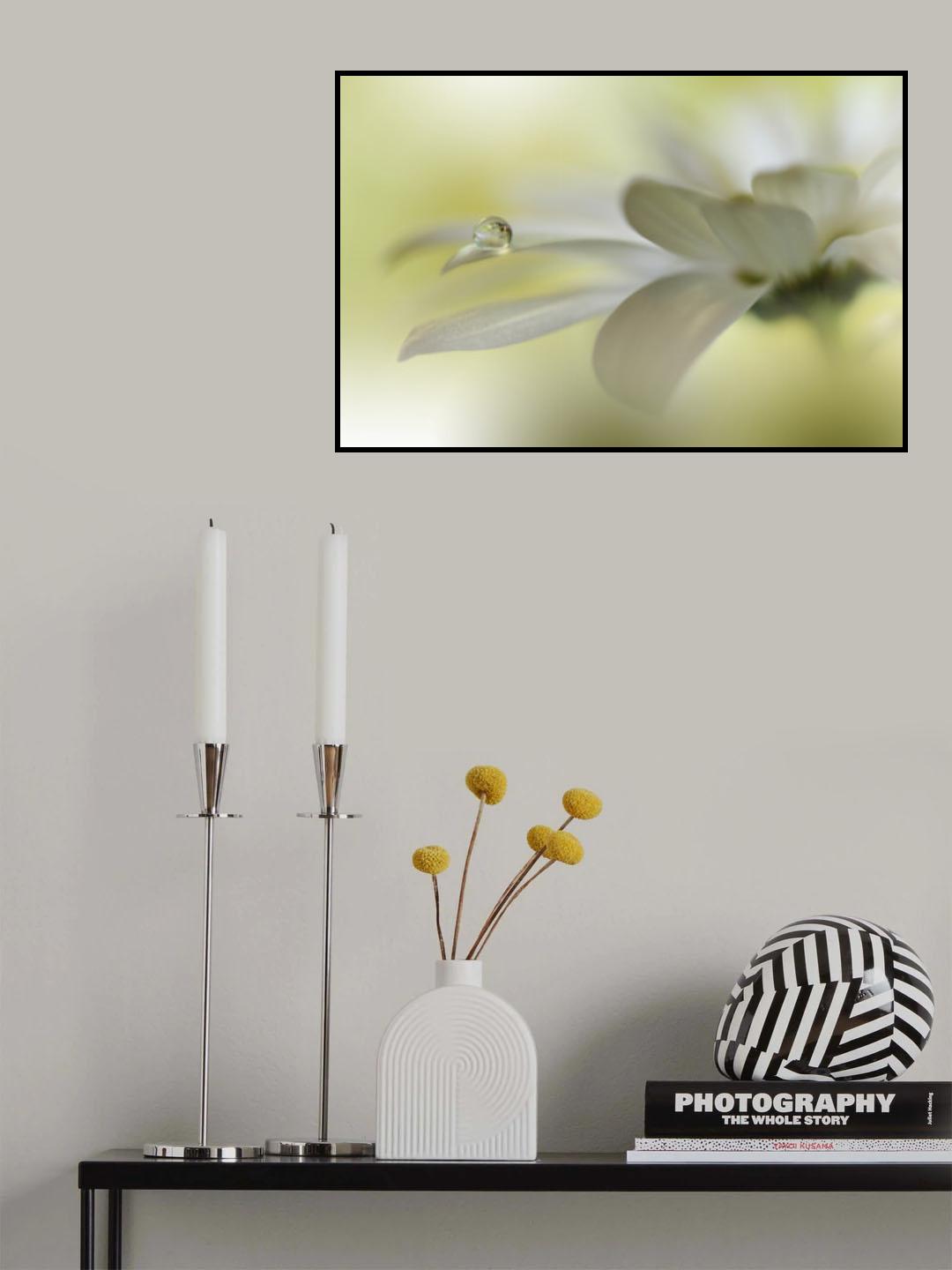 Dreams Of Heaven.. Poster och Canvastavla