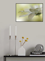 Dreams Of Heaven.. Poster och Canvastavla