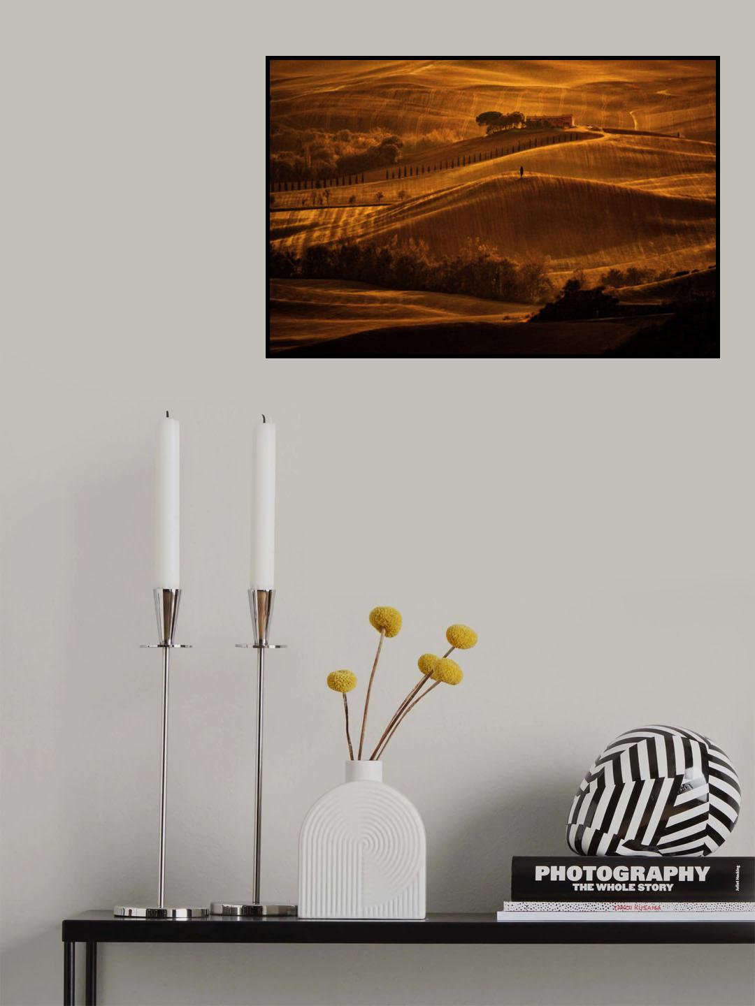 Il cipresso Poster och Canvastavla