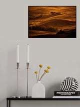 Il cipresso Poster och Canvastavla