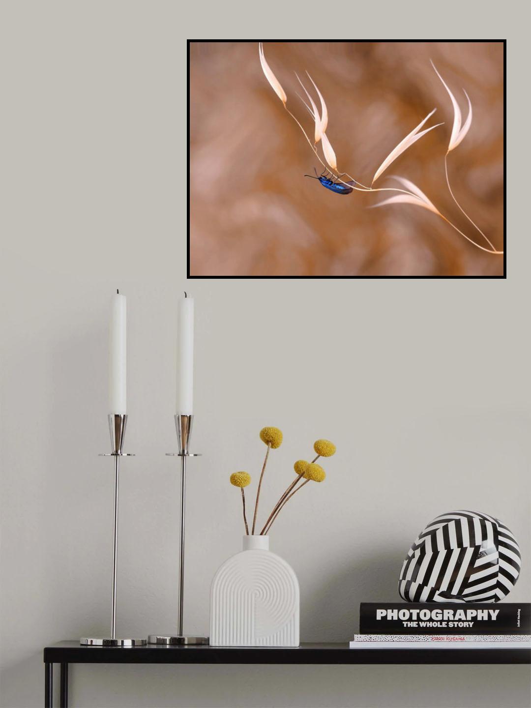 Ripples in the solar wind... Poster och Canvastavla