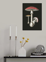 Amanita Muscaria Dark Background Poster och Canvastavla