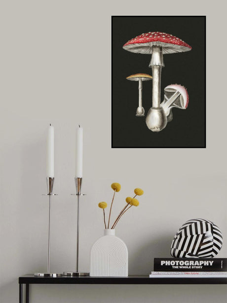 Amanita Muscaria Dark Background Poster och Canvastavla