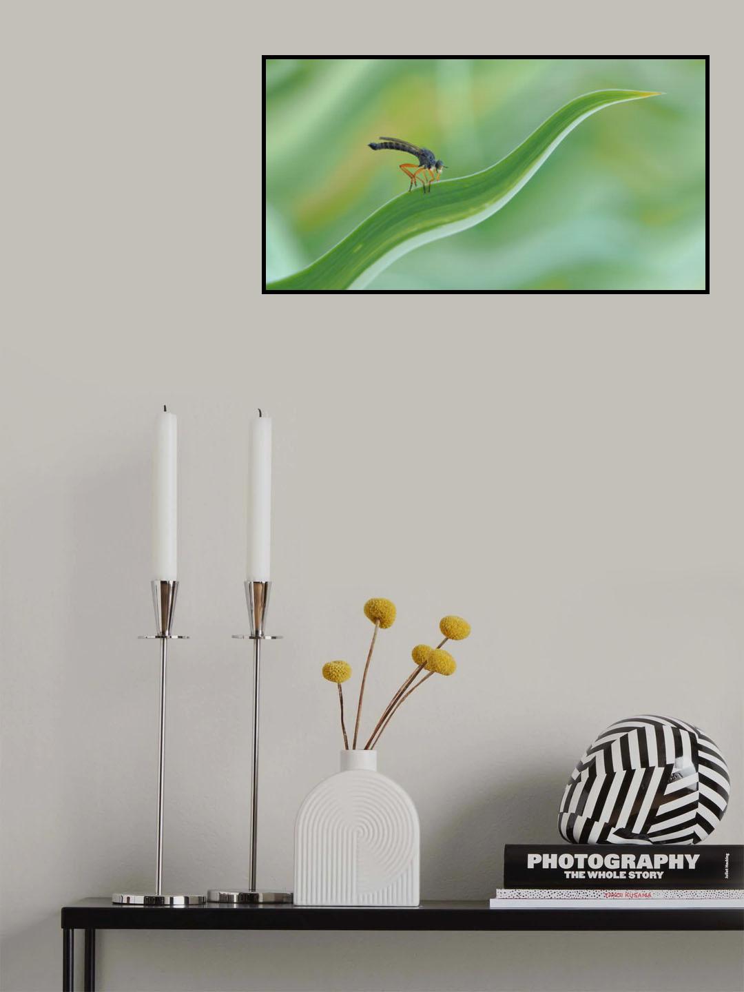 Surf floater... Poster och Canvastavla