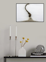 Confused lamb Poster och Canvastavla