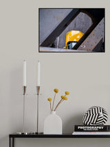 Yellow Cab Poster och Canvastavla