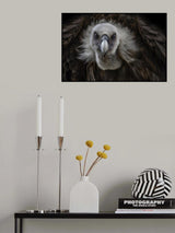 Poster och Canvastavla