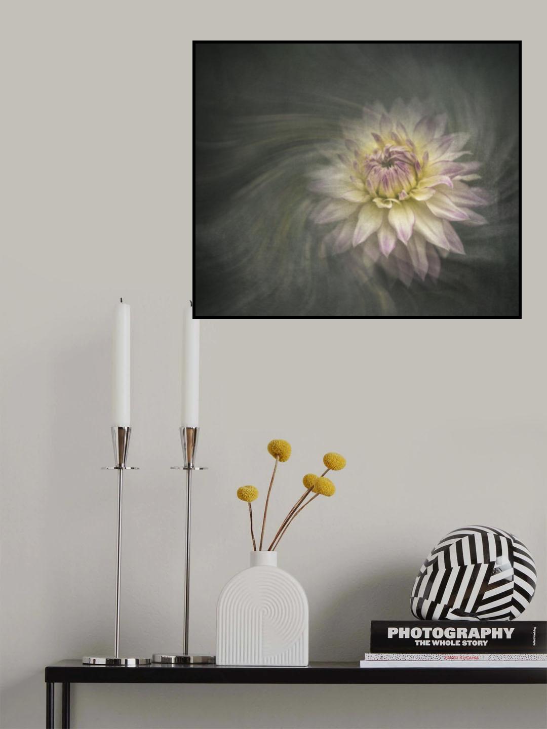 Crazy love dahlia Poster och Canvastavla