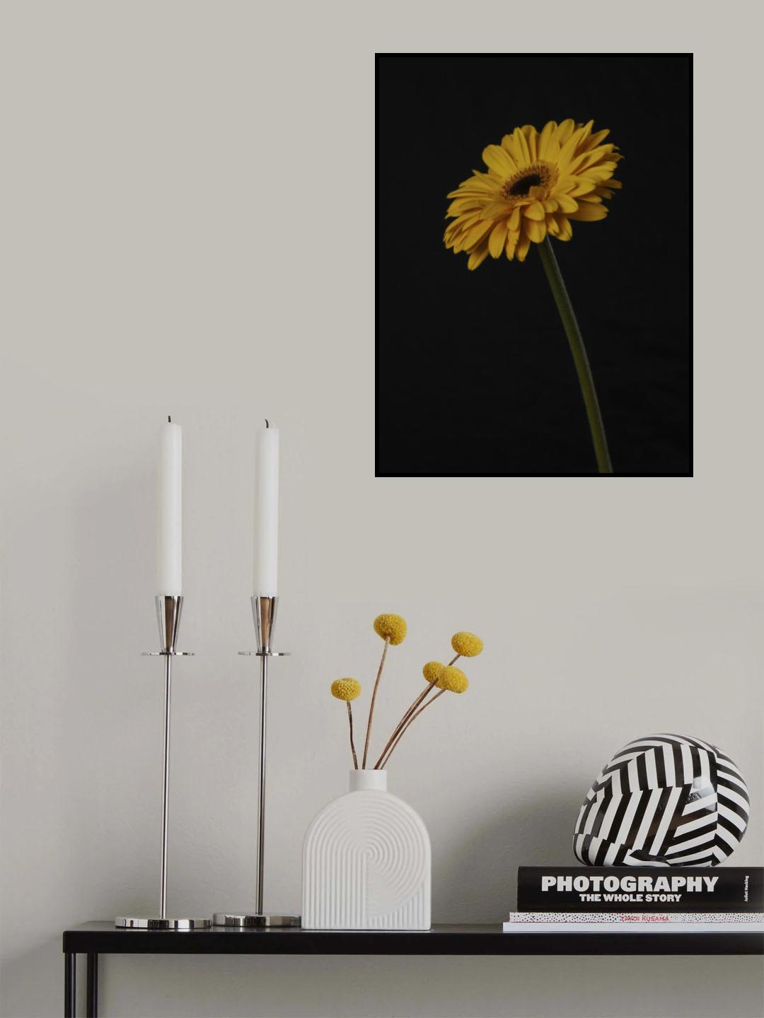 Beautiful flower Poster och Canvastavla
