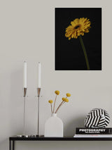 Beautiful flower Poster och Canvastavla