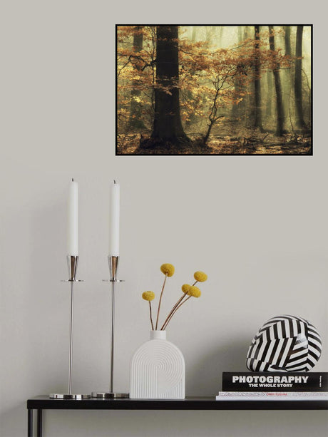 Soft fall Poster och Canvastavla