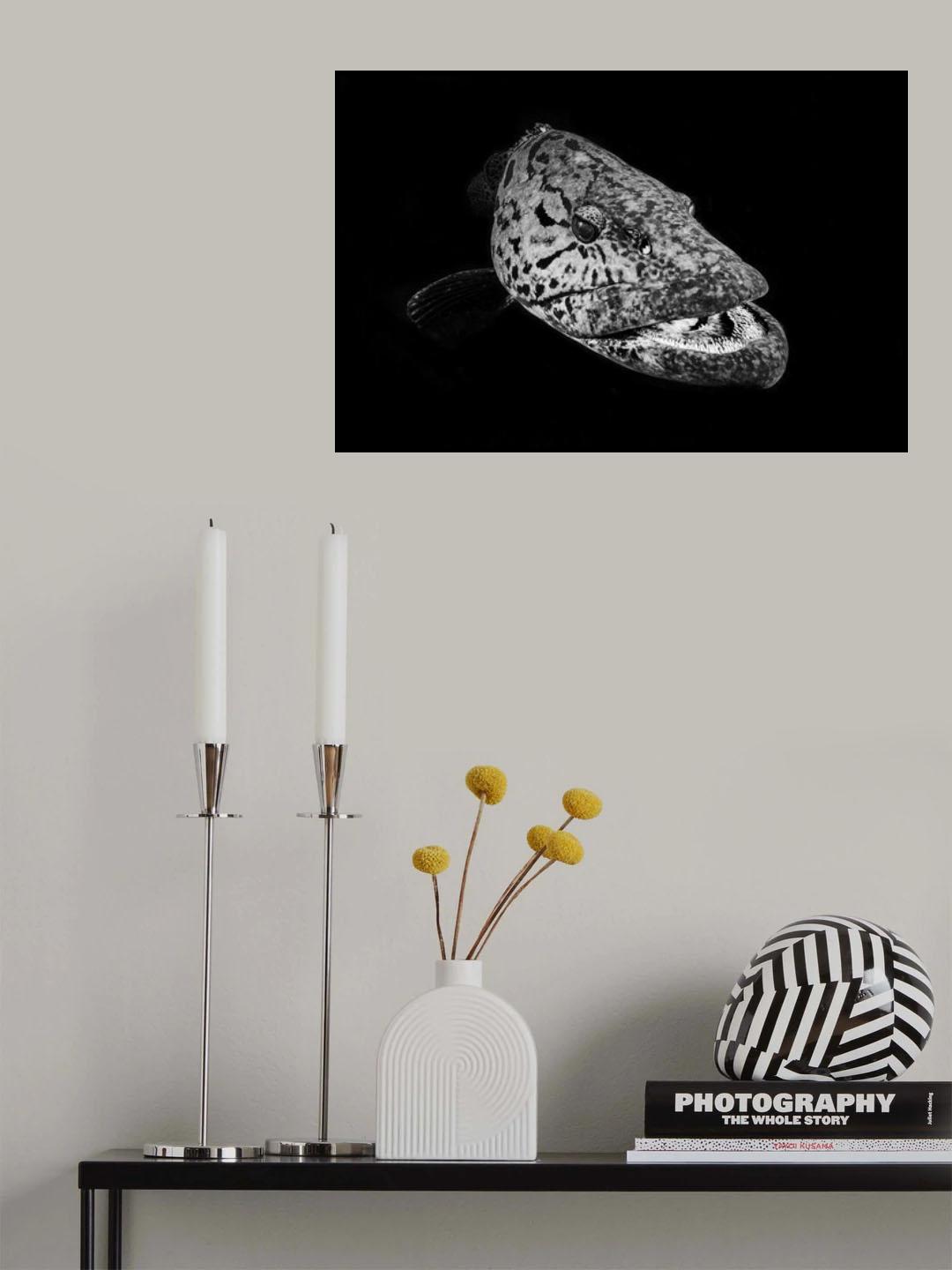 Potato grouper : Black  &amp; White Poster och Canvastavla