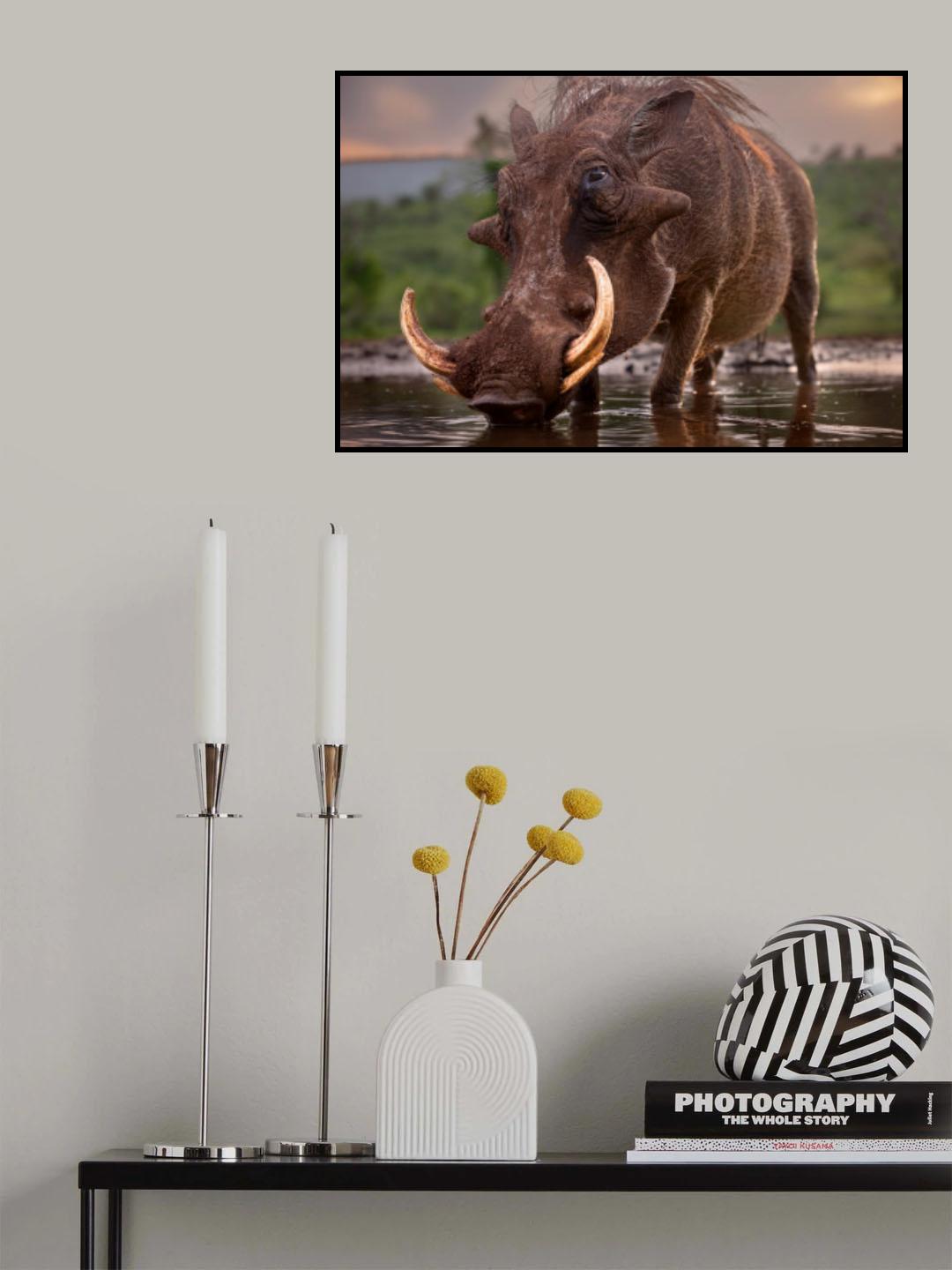 Pumbaa Poster och Canvastavla