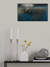 Splash Baitball Poster och Canvastavla