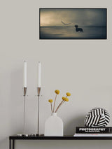 Dreamer....just a little Dreamer..... Poster och Canvastavla