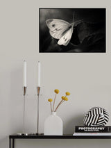 The Escape Poster och Canvastavla