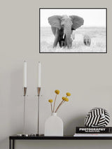 Stay Away! Poster och Canvastavla