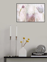 Poster och Canvastavla