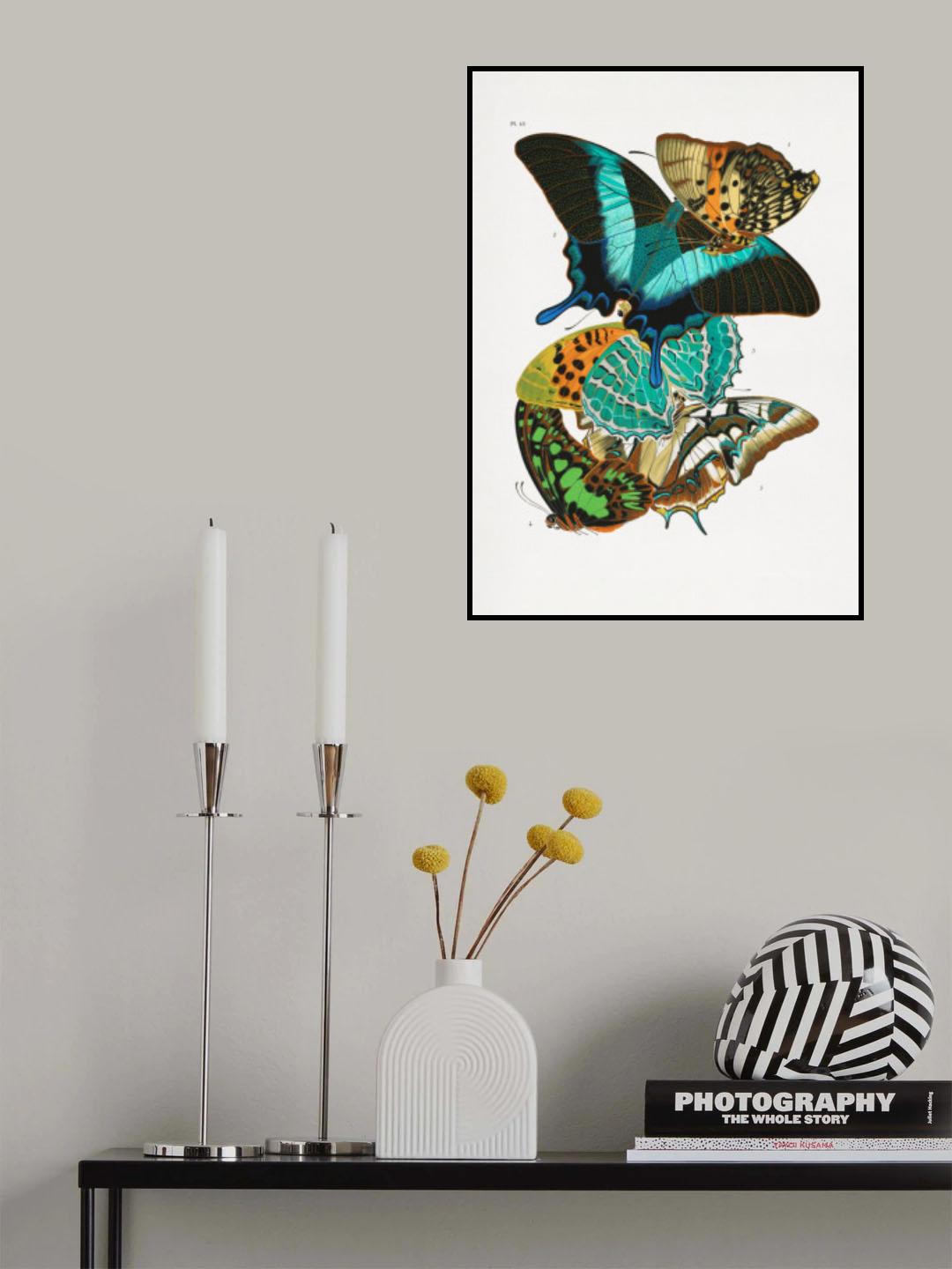 Butterflies 5 Poster och Canvastavla