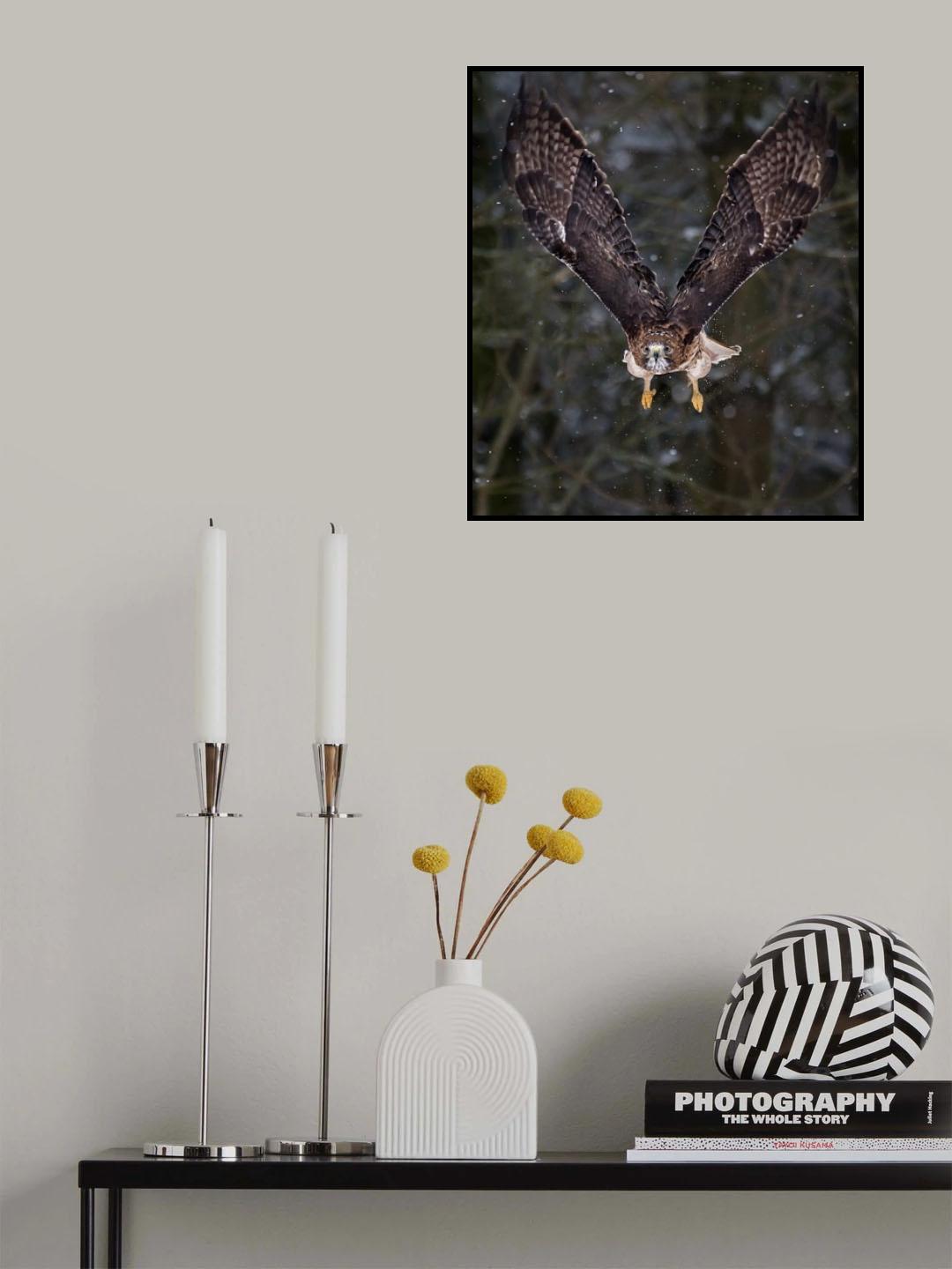 Out of my way NOW! Poster och Canvastavla