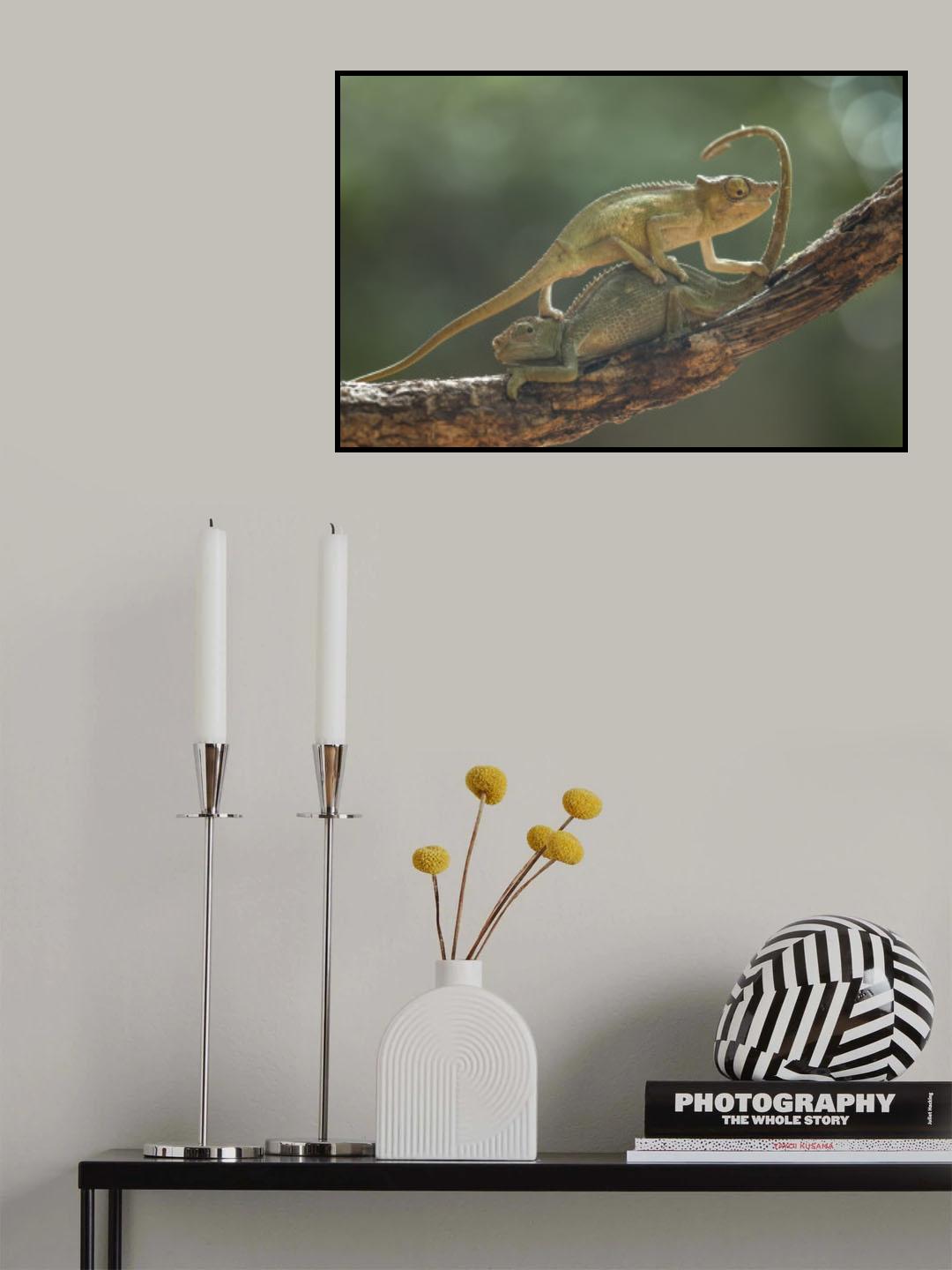I am Sorry My Bro Poster och Canvastavla