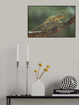 I am Sorry My Bro Poster och Canvastavla