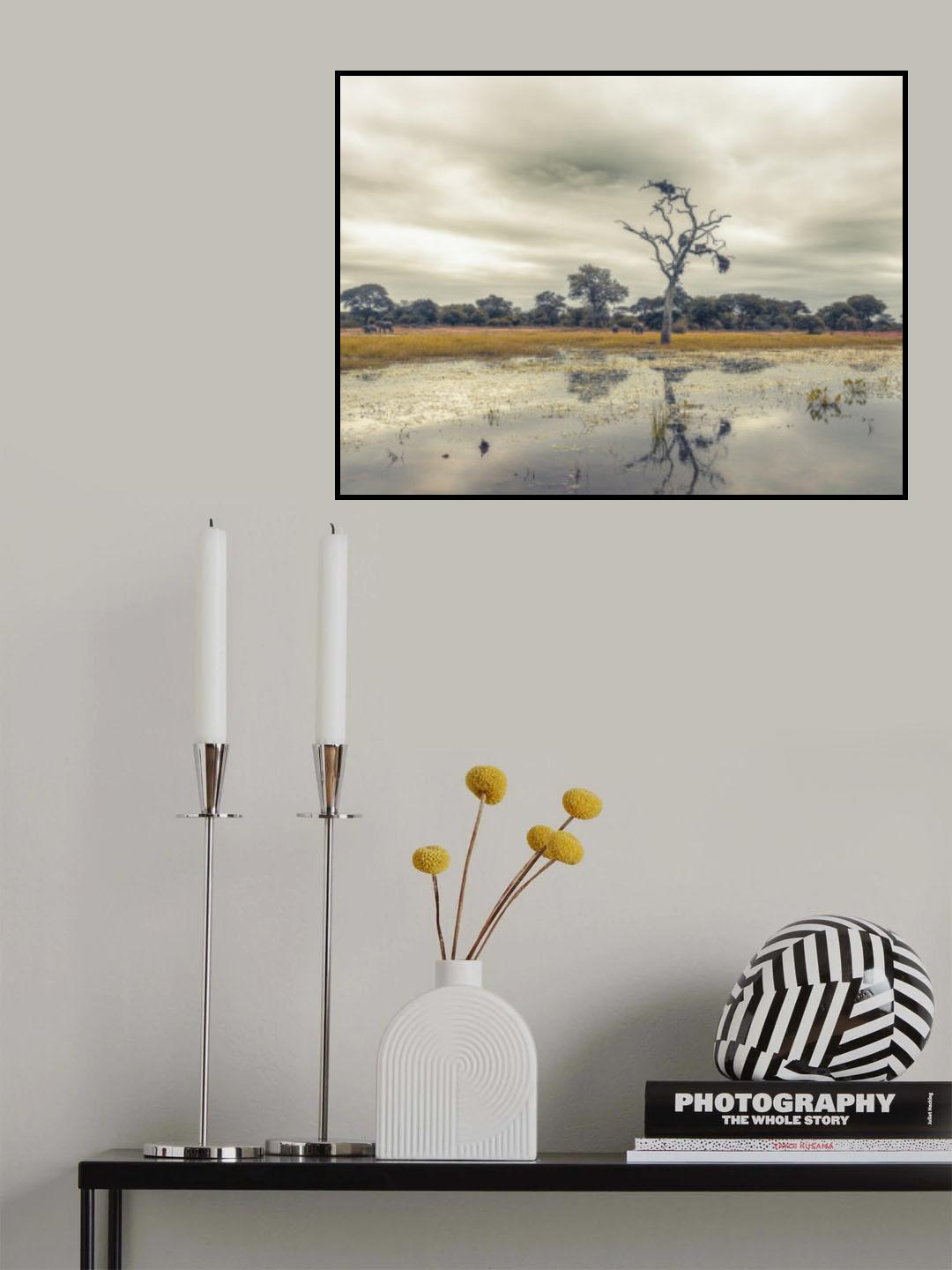 Moody day in Africa Poster och Canvastavla