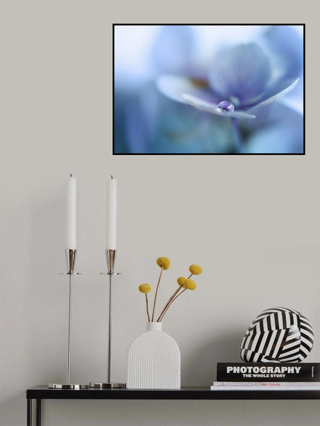 Reflection Poster och Canvastavla