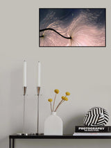 Ephemeral waves... Poster och Canvastavla