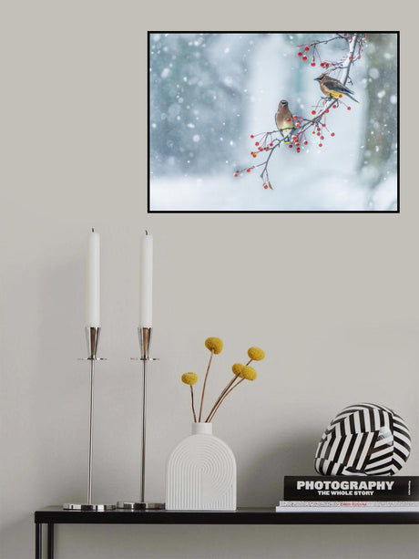 Colors of Winter Poster och Canvastavla