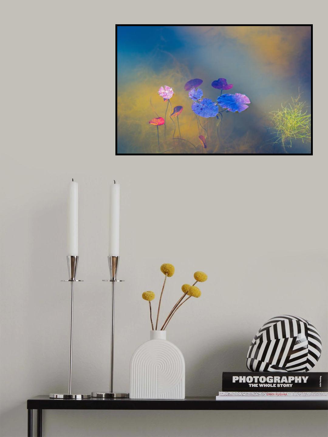 Water life Poster och Canvastavla