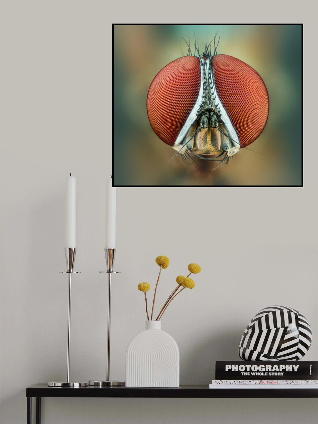 Looking at you Poster och Canvastavla