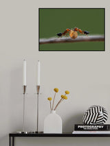 Work together Poster och Canvastavla