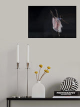 Dancer Poster och Canvastavla