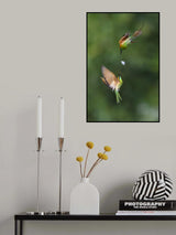 Bee-eater Poster och Canvastavla