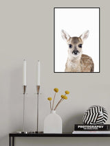 Baby Deer Poster och Canvastavla