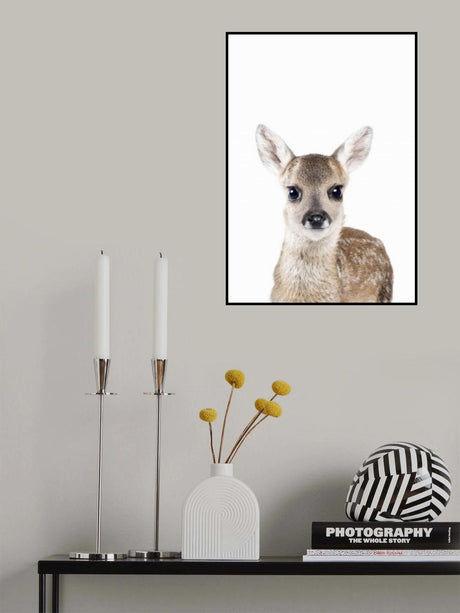 Baby Deer Poster och Canvastavla