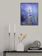 brightness Poster och Canvastavla