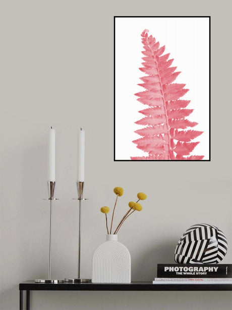 Pink fern leaf Poster och Canvastavla