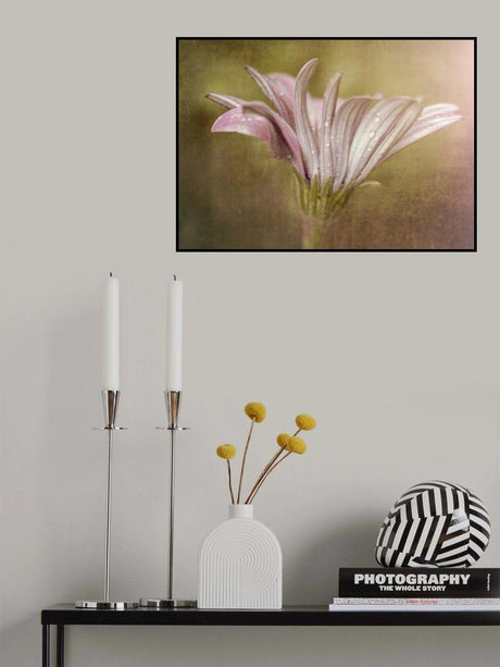 Pretty in Pink Poster och Canvastavla