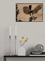 Mighty Eagle Poster och Canvastavla