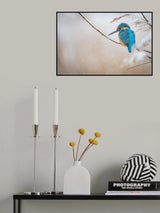 Common kingfisher Poster och Canvastavla