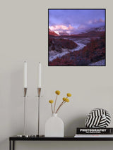 Foggy  morning in Patagonia Poster och Canvastavla