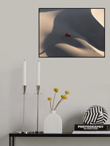 Red skirt Poster och Canvastavla