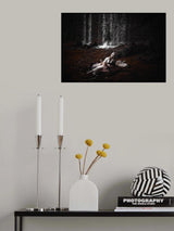 Poster och Canvastavla