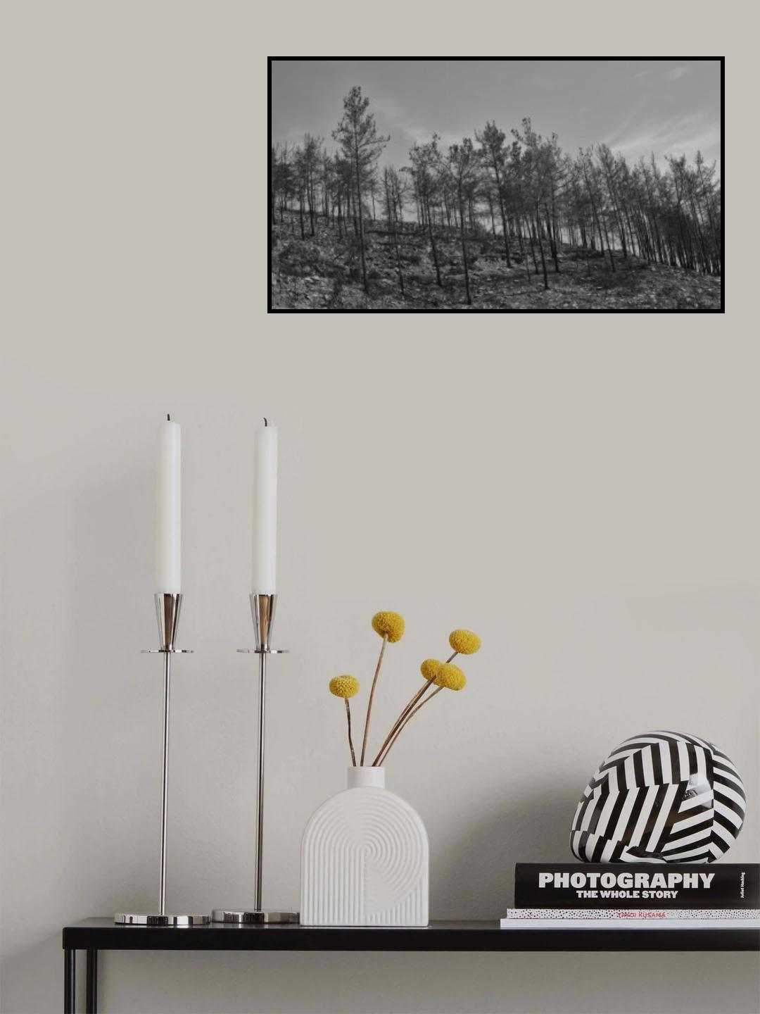 burnt trees in the forest Poster och Canvastavla