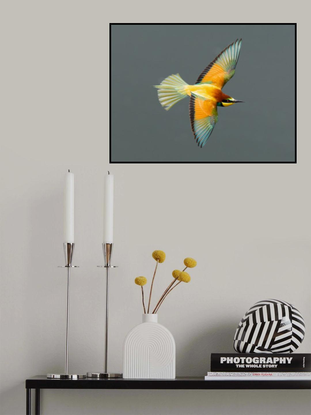 flying beauty II Poster och Canvastavla