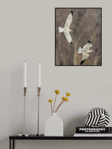 Chasing Poster och Canvastavla