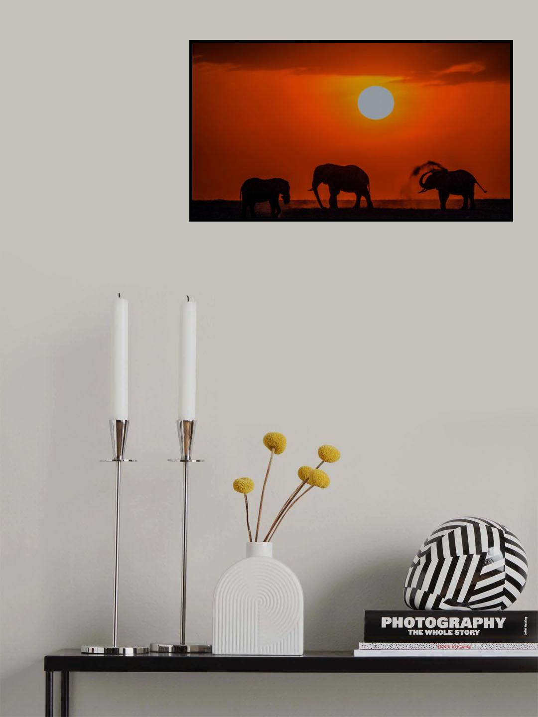 Sunset at Kenya Poster och Canvastavla